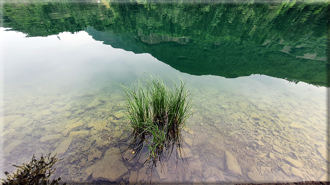 foto Lago di Lases